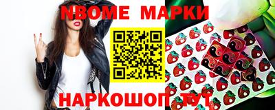 сатива Новозыбков