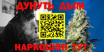 сатива Новозыбков
