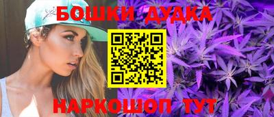 сатива Новозыбков