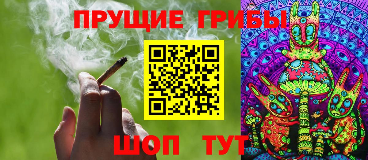 Бердск  наркотики  Вход с VPN  Псилоцибиновые грибы Psilocybine cubensis 