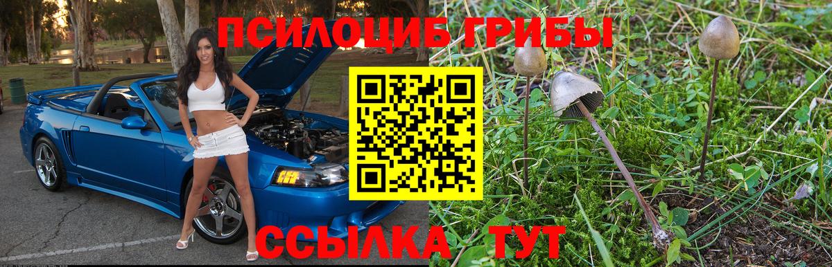 Псилоцибиновые грибы ЛСД Бердск